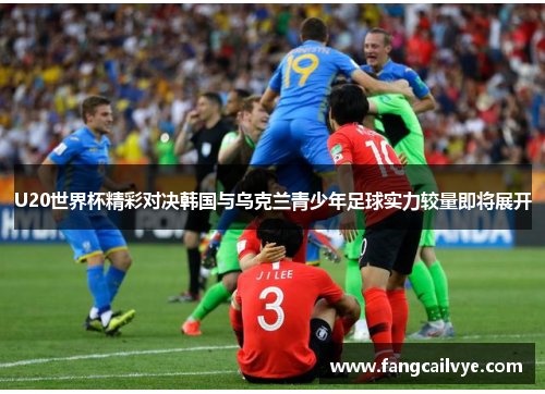U20世界杯精彩对决韩国与乌克兰青少年足球实力较量即将展开