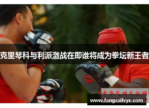 克里琴科与利派激战在即谁将成为拳坛新王者